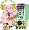 Pig on ham radio.jpg